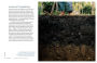 Alternative view 6 of Gardening with Biochar: Supercharge Your Soil with Bioactivated Charcoal: Grow Healthier Plants, Create Nutrient-Rich Soil, and Increase Your Harvest