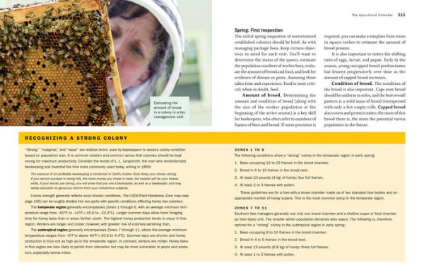 Storey's Guide to Keeping Honey Bees, 2nd Edition: Honey Production, Pollination, Health