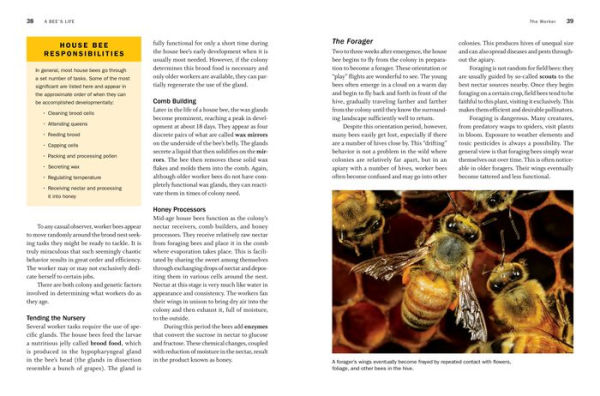 Storey's Guide to Keeping Honey Bees, 2nd Edition: Honey Production, Pollination, Health