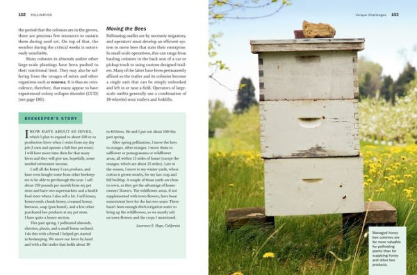 Storey's Guide to Keeping Honey Bees, 2nd Edition: Honey Production, Pollination, Health