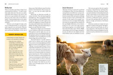 Alternative view 5 of Storey's Guide to Raising Sheep, 5th Edition: Breeding, Care, Facilities