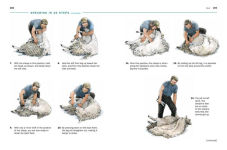 Alternative view 6 of Storey's Guide to Raising Sheep, 5th Edition: Breeding, Care, Facilities