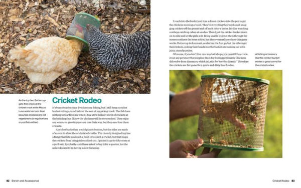 Hentopia: Create a Hassle-Free Habitat for Happy Chickens; 21 Innovative Projects