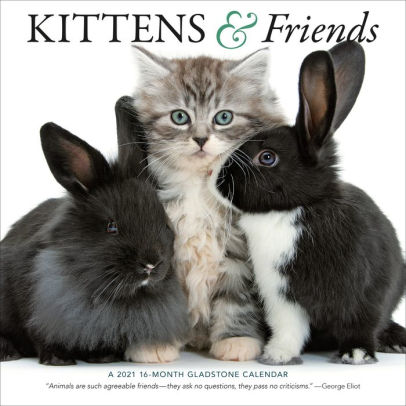 2021 Kittens Friends Wall Calendar By Gladstone Media Corporation Barnes Noble