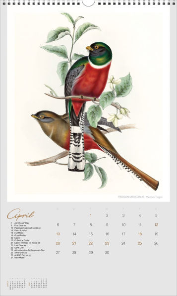2025 Gould's Exotic Birds Big Picture Calendar