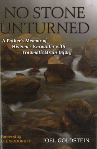 No Stone Unturned: A Father's Memoir of His Son's Encounter with Traumatic Brain Injury