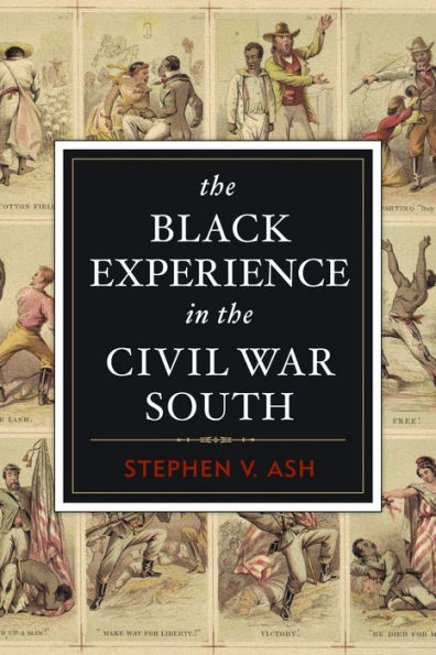 the Black Experience Civil War South