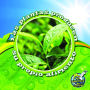 Las plantas producen su propio alimento: Plants Make Their Own Food