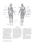 Alternative view 3 of Ultimate Booty Workouts: Exercises to Build, Lift and Sculpt an Amazing Butt