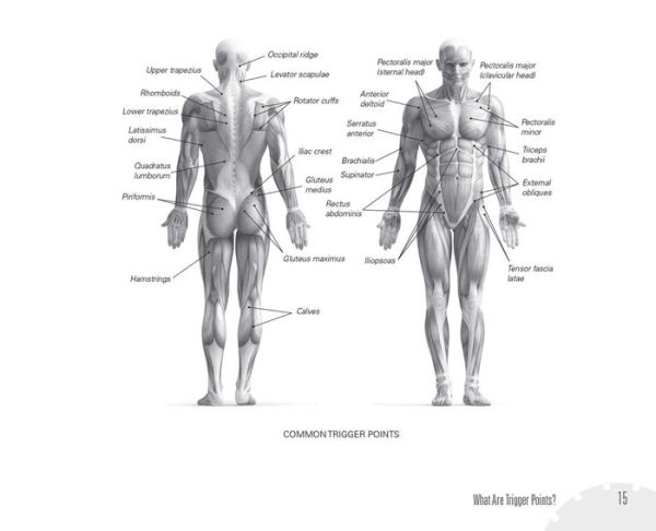 Trigger Point Therapy with the Foam Roller: Exercises for Muscle Massage, Myofascial Release, Injury Prevention and Physical Rehab