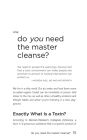 Alternative view 2 of The Master Cleanse Made Easy: Your No-Fail Guide to Feeling Great During and After Your Detox