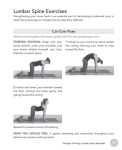Alternative view 5 of Psoas Strength and Flexibility: Core Workouts to Increase Mobility, Reduce Injuries and End Back Pain