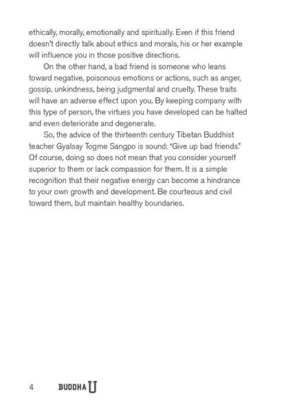 Buddha U: 108 Mindfulness Lessons for Surviving Test Stress, Freshman 15, Friend Drama, Insane Roommates, Awkward Dates, Late Nights, Morning Lectures...and Other College Challenges