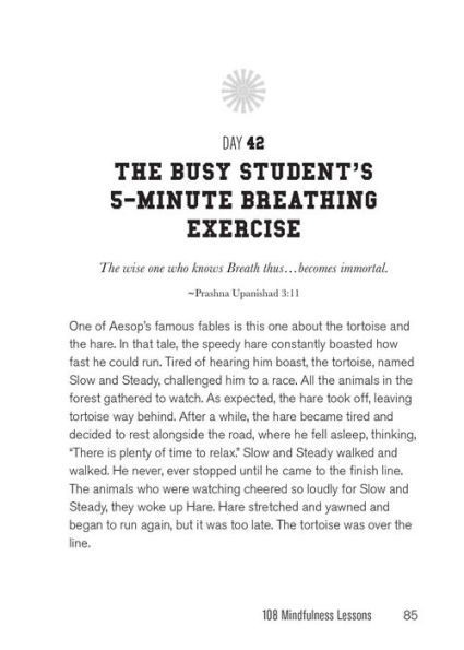 Buddha U: 108 Mindfulness Lessons for Surviving Test Stress, Freshman 15, Friend Drama, Insane Roommates, Awkward Dates, Late Nights, Morning Lectures...and Other College Challenges
