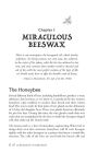 Alternative view 2 of The Beeswax Workshop: How to Make Your Own Natural Candles, Cosmetics, Cleaners, Soaps, Healing Balms and More