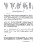 Alternative view 8 of Mom's Guide to Diastasis Recti: A Program for Preventing and Healing Abdominal Separation Caused by Pregnancy