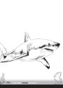 Alternative view 3 of Jawsome Shark Quizzes: Test Your Knowledge of Shark Types, Behaviors, Attacks, Legends and Other Trivia