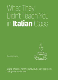 Title: What They Didn't Teach You in Italian Class: Slang Phrases for the Café, Club, Bar, Bedroom, Ball Game and More, Author: Gabrielle Euvino