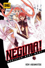 Negima!: Volume 36
