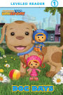 Dog Days (Team Umizoomi) (Step into Reading Book Series: A Step 1 Book)