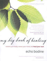 Title: My Big Book of Healing: Restore Your Body, Renew Your Mind, and Heal Your Soul, Author: Echo Bodine
