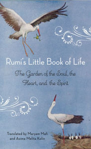 Title: Rumi's Little Book of Life: The Garden of the Soul, the Heart, and the Spirit, Author: Rumi