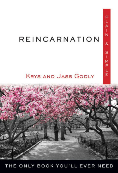 Reincarnation Plain & Simple: The Only Book You'll Ever Need