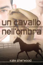 Un cavallo nell'ombra