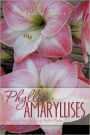 Phyllis' Amaryllises