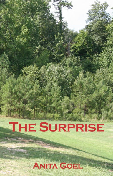 The Surprise