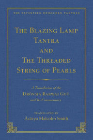 Title: The Tantra Without Syllables (Vol 3) and The Blazing Lamp Tantra (Vol 4): A Translation of the Yigé Mepai Gyu (Vol. 3) A Translation of the Drönma Barwai Gyu and Mutik Trengwa Gyupa (Vol 4), Author: Malcolm Smith