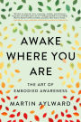 Awake Where You Are: The Art of Embodied Awareness
