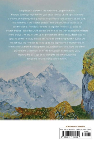 Footprints on the Journey: One Year Following the Path of Dzogchen Master Khenpo Sodargye