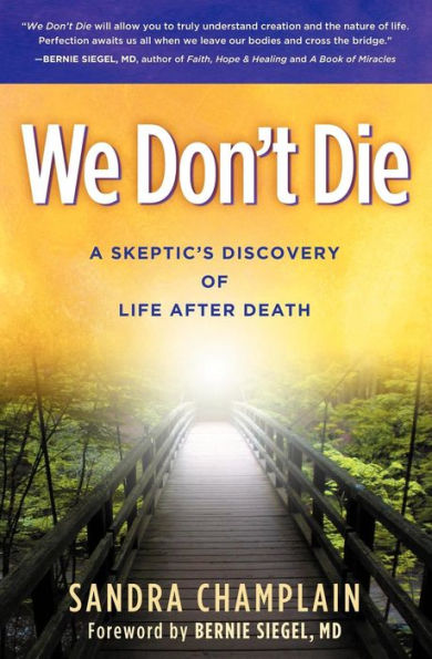 We Don't Die: A Skeptic's Discovery of Life After Death