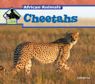 Title: Cheetahs eBook, Author: Julie Murray