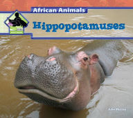 Title: Hippopotamuses eBook, Author: Julie Murray