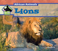 Title: Lions eBook, Author: Julie Murray