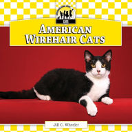 Title: American Wirehair Cats eBook, Author: Jill C. Wheeler