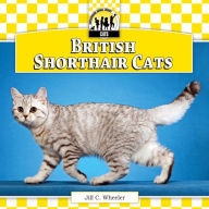 Title: British Shorthair Cats eBook, Author: Jill C. Wheeler