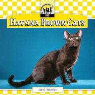 Title: Havana Brown Cats eBook, Author: Jill C. Wheeler