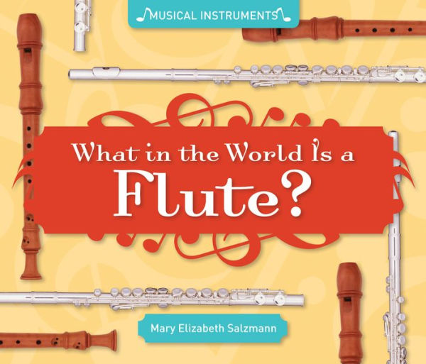 What in the World Is a Flute? eBook