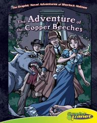 Title: Adventure of Copper Beeches eBook, Author: Vincent Goodwin