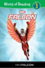 Falcon: This Is Falcon (World of Reading: Level 1)