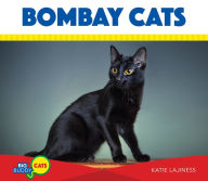 Title: Bombay Cats, Author: Katie Lajiness