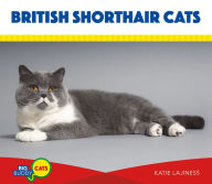 Title: British Shorthair Cats, Author: Katie Lajiness