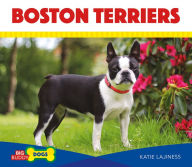 Title: Boston Terriers, Author: Katie Lajiness