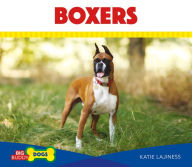 Title: Boxers, Author: Katie Lajiness