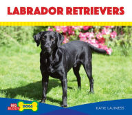 Title: Labrador Retrievers, Author: Katie Lajiness