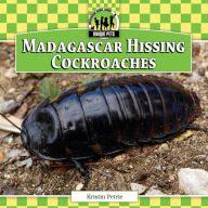 Title: Madagascar Hissing Cockroaches eBook, Author: Kristin Petrie