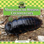 Madagascar Hissing Cockroaches eBook